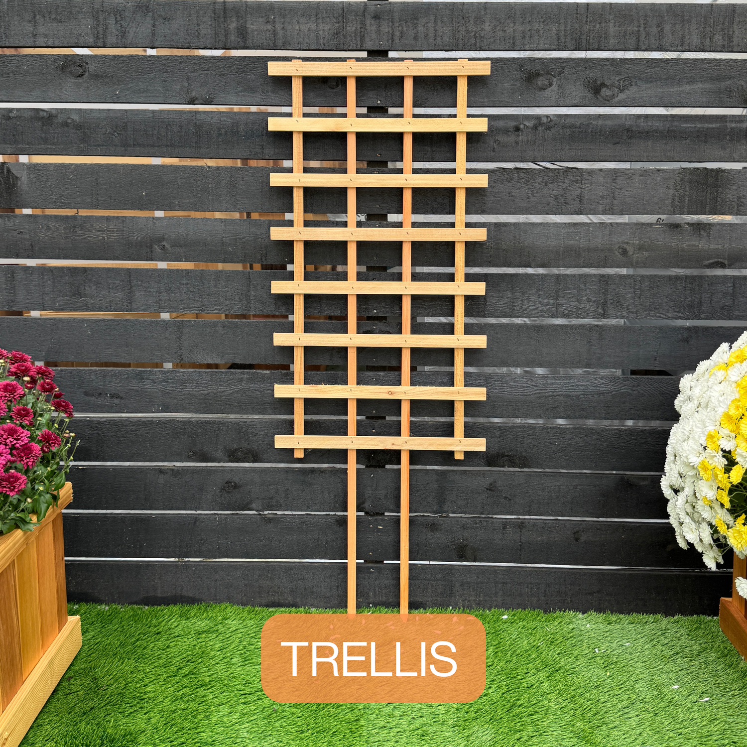 Trellis