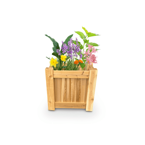 Raised Garden Bed Cedar Planter - 24"L x 18"W x 24"H