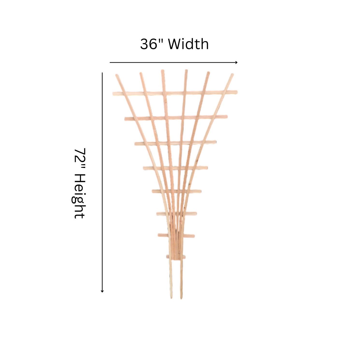 CFT6 Fan Trellis - 72"H x 36"W