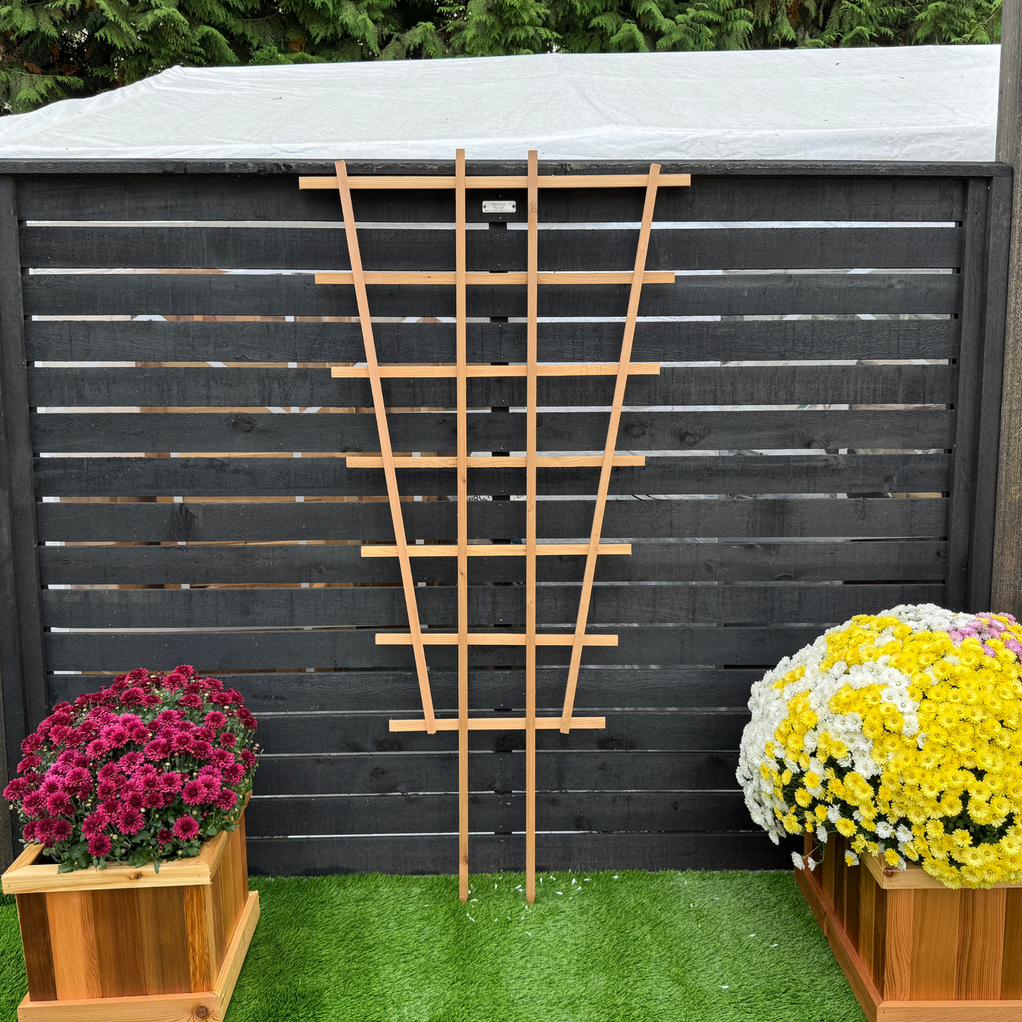 FT6 Fan Trellis - 72"H x 36"W