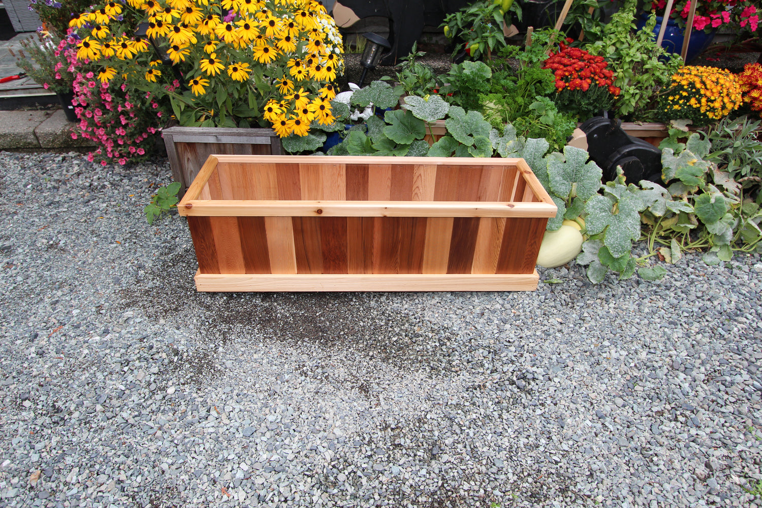 1648 - 48&quot;L x 16&quot;W x 16&quot;H Western Red Cedar Raised Garden Planter