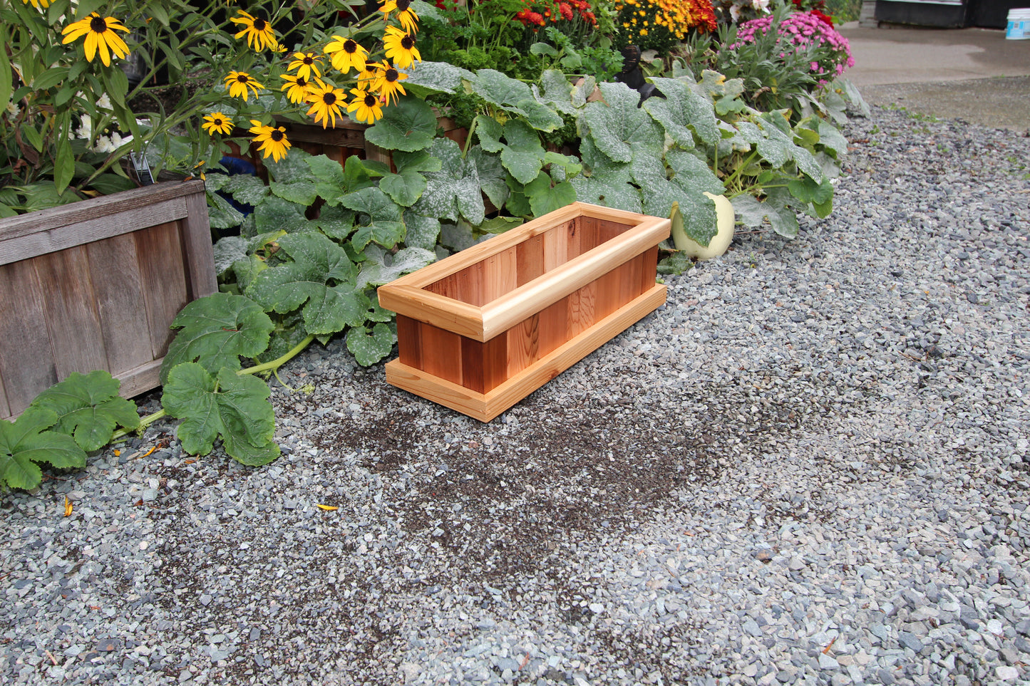 924 - 24″L x 9″W x 8″H – Red Cedar Flower Planter