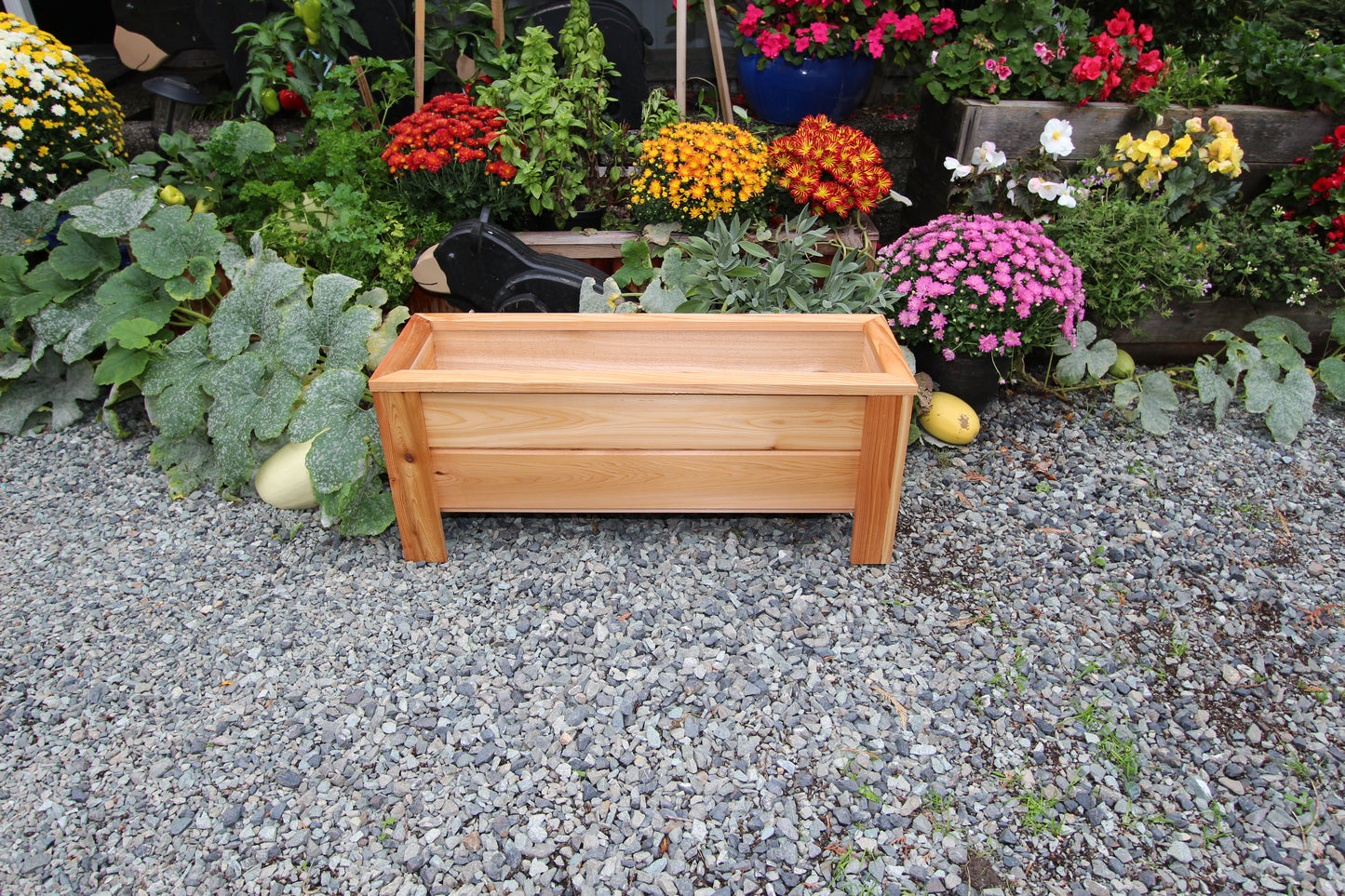 1236 - 36″L x 12"W x 15″H – Western Red Cedar Raised Flower Planter