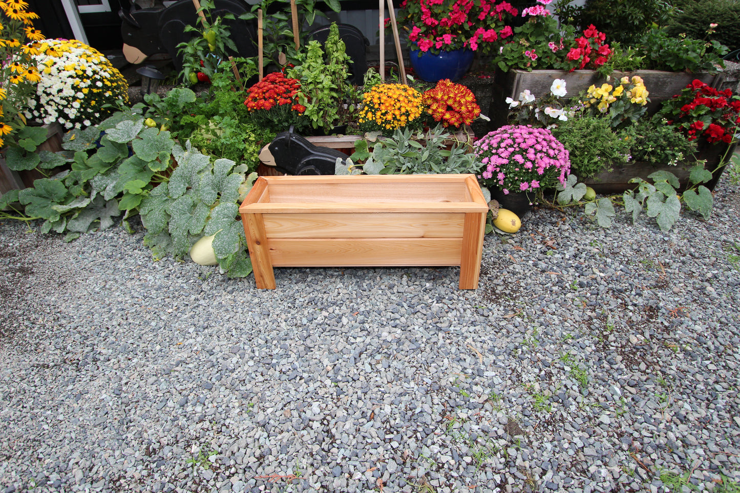 1236 - 36″L x 12"W x 15″H – Western Red Cedar Raised Flower Planter