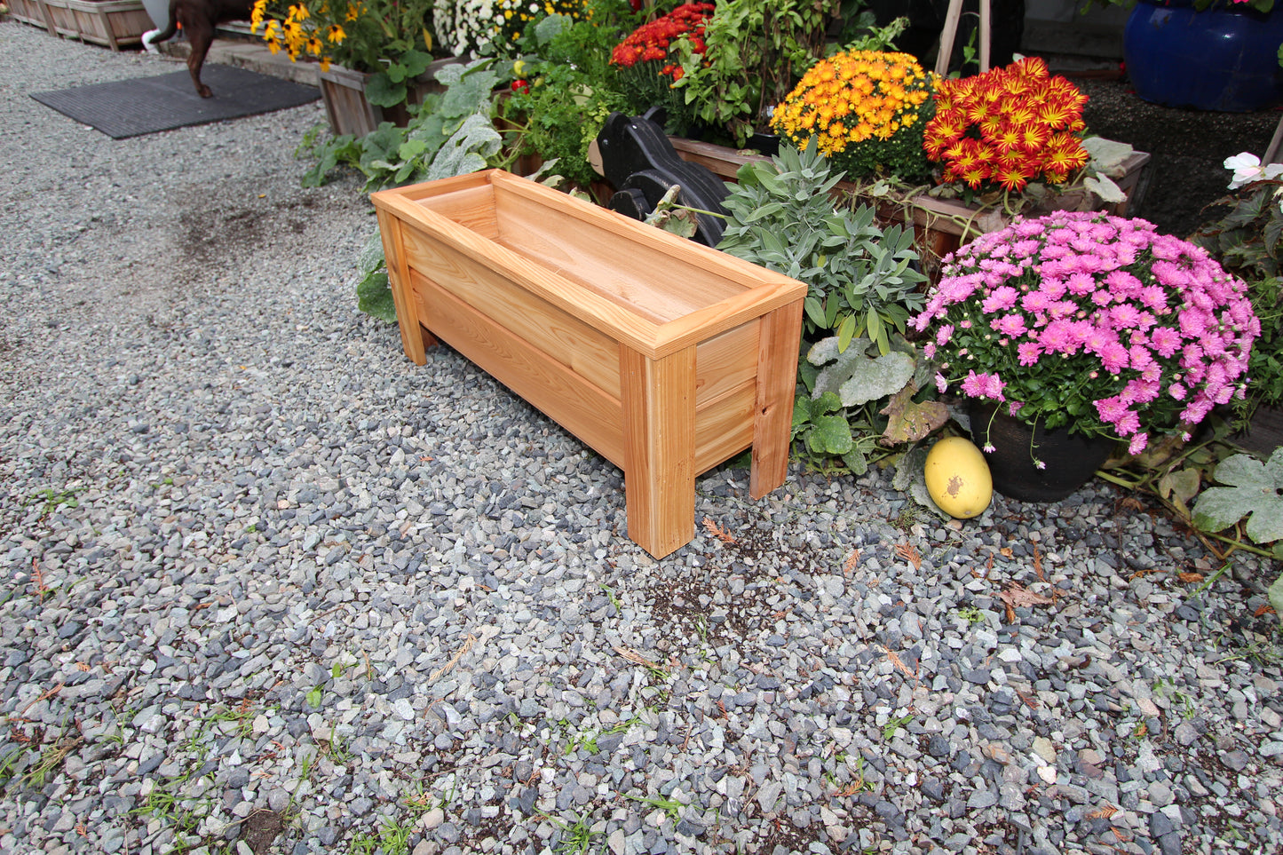 1236 - 36″L x 12"W x 15″H – Western Red Cedar Raised Flower Planter