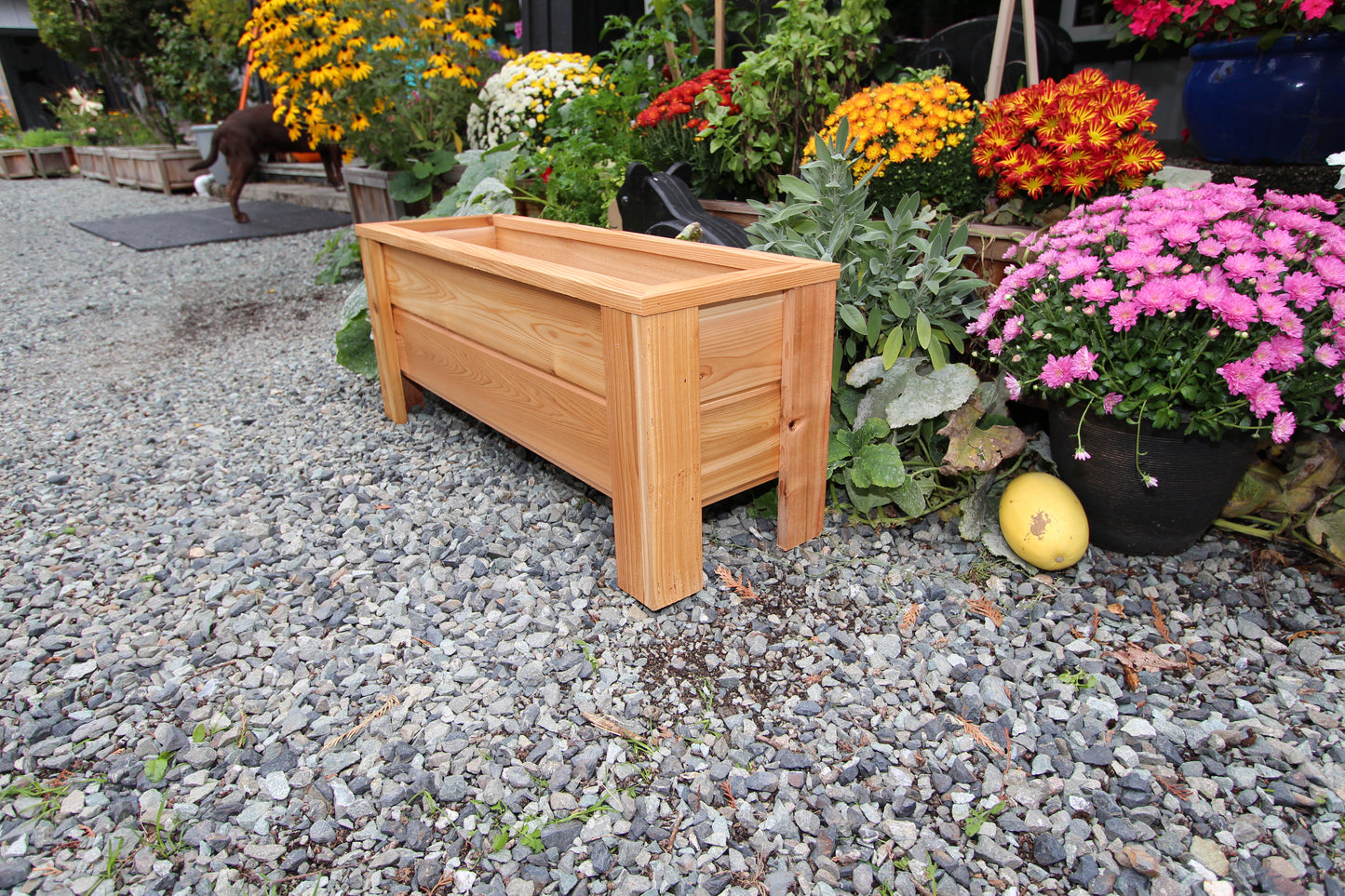 1236 - 36″L x 12"W x 15″H – Western Red Cedar Raised Flower Planter