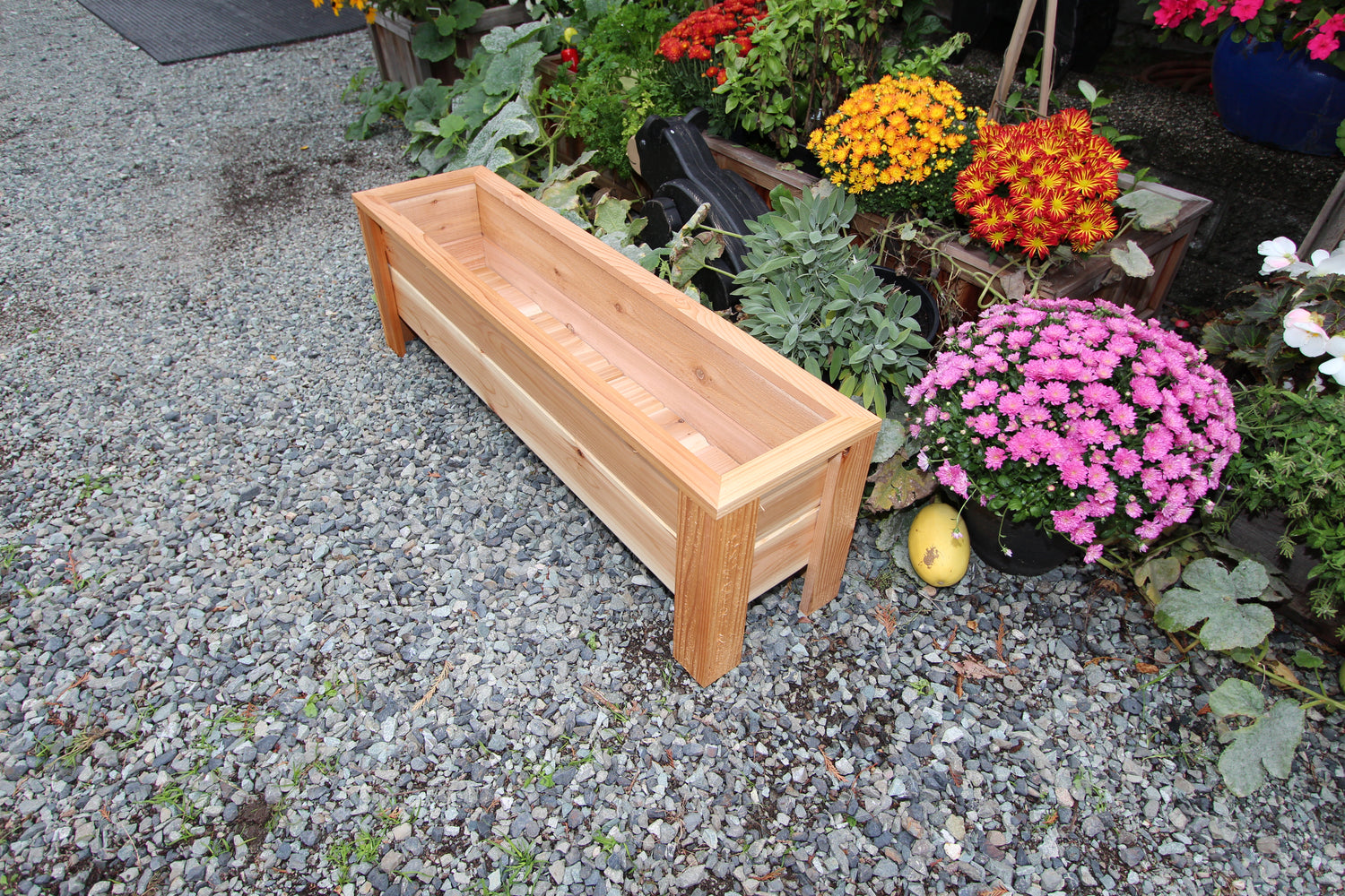 48″L x 12″W x 15″H – Red Cedar Raised Planter