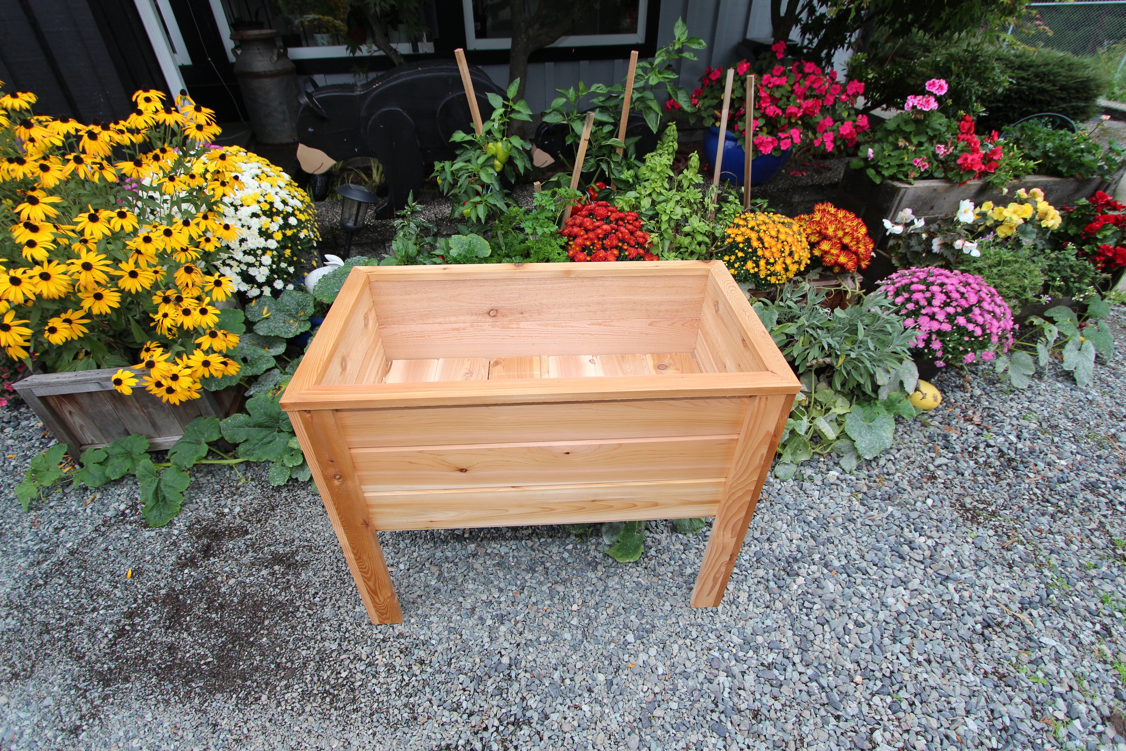 2036 - 36″L x 20″W x 30″H – Western Red Cedar Raised Garden Planter