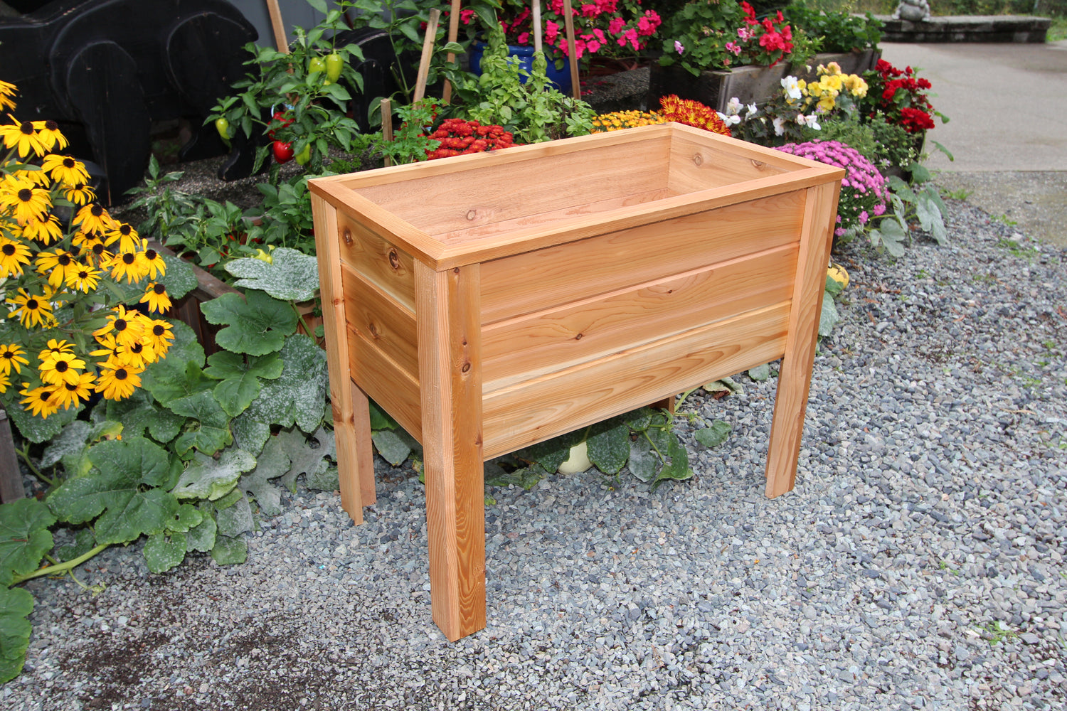 2036 - 36″L x 20″W x 30″H – Western Red Cedar Raised Garden Planter