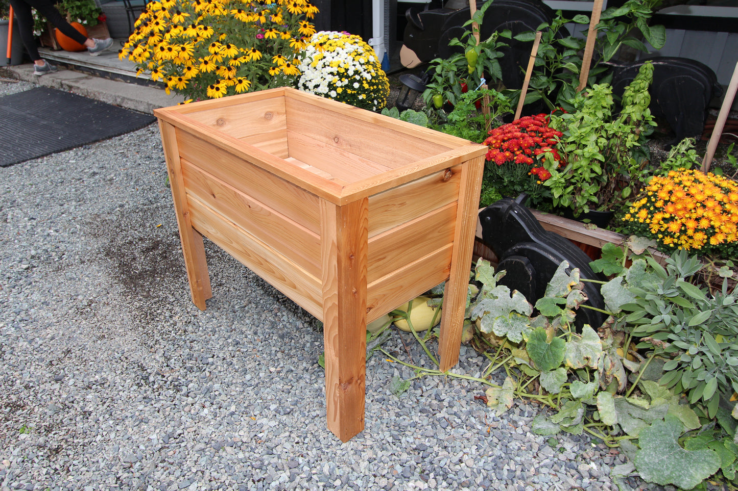 2036 - 36″L x 20″W x 30″H – Western Red Cedar Raised Garden Planter