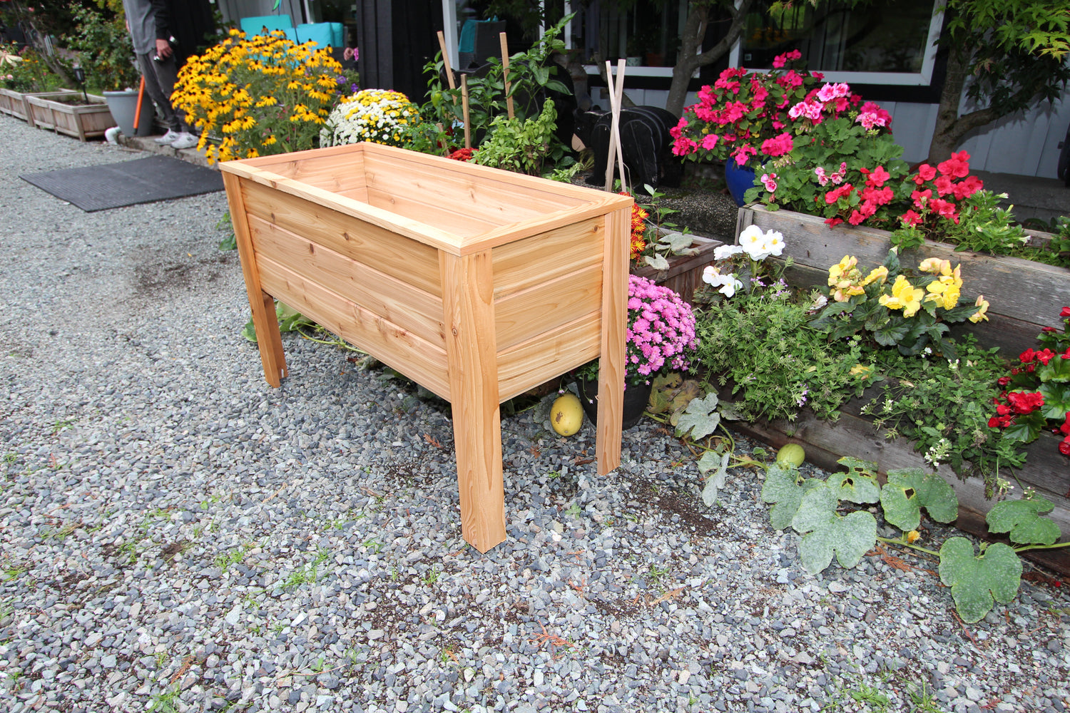 2048 - 48″L x 20″W x 30″H – Western Red Cedar Raised Garden Planter