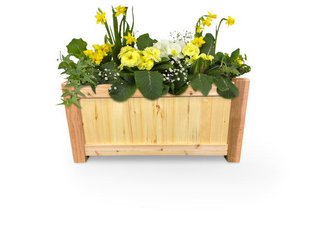 Raised Garden Bed Yellow and Red Cedar Planter