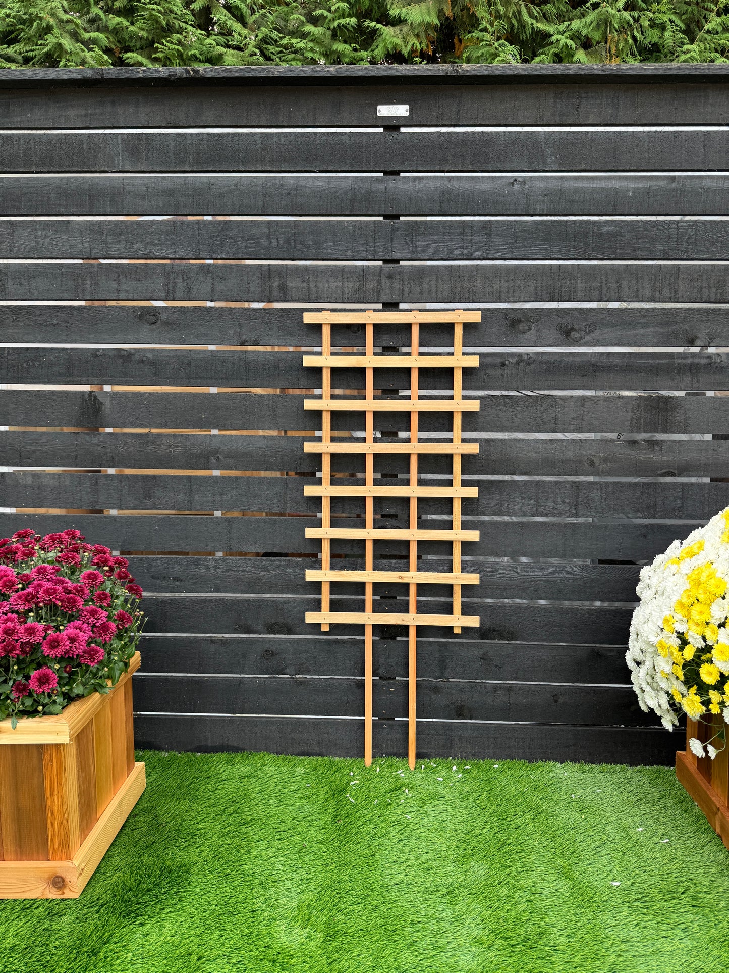 ST418 Straight Trellis - 48" Height x 18" Width