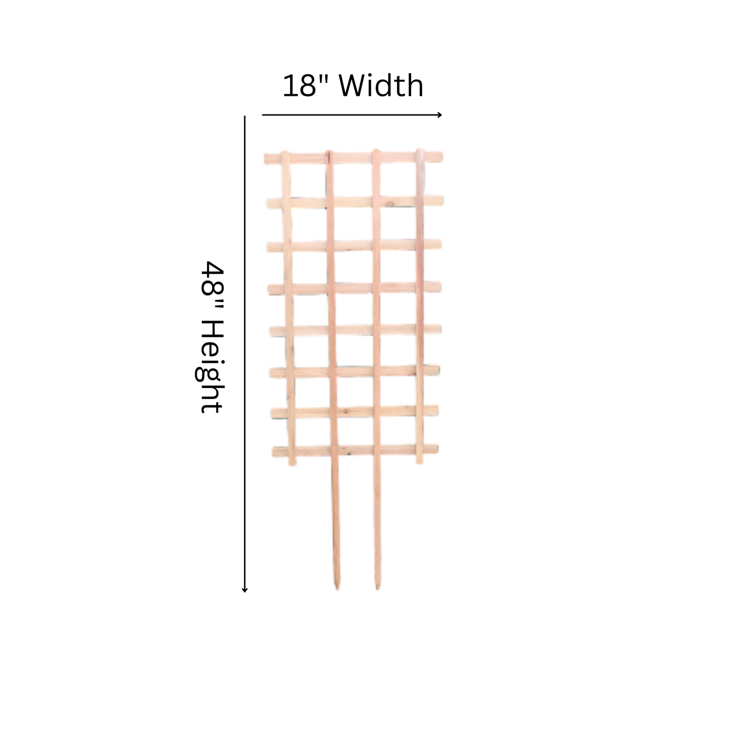 ST418 Straight Trellis - 48" Height x 18" Width