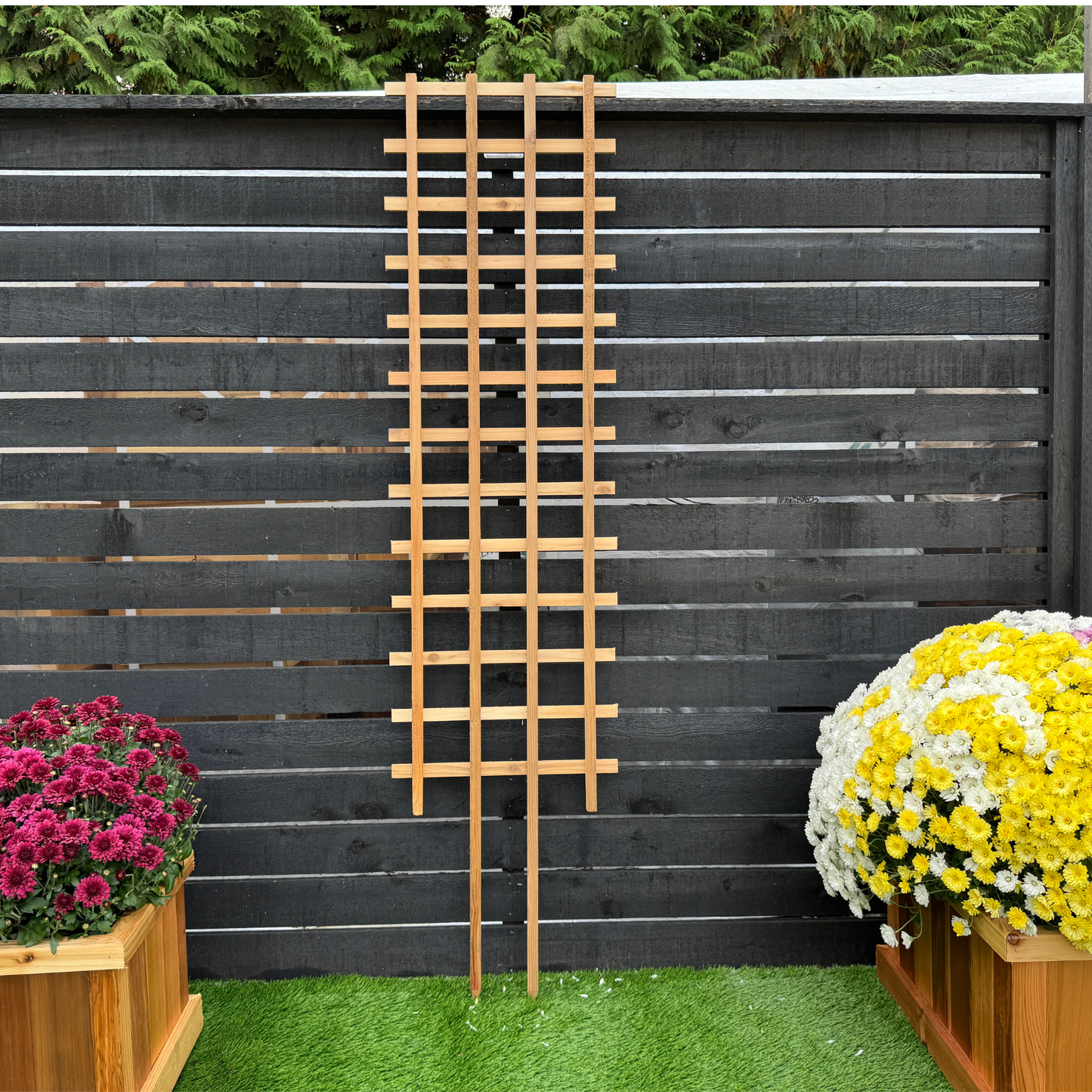 ST618 Straight Trellis - 72" Height x 18" Width