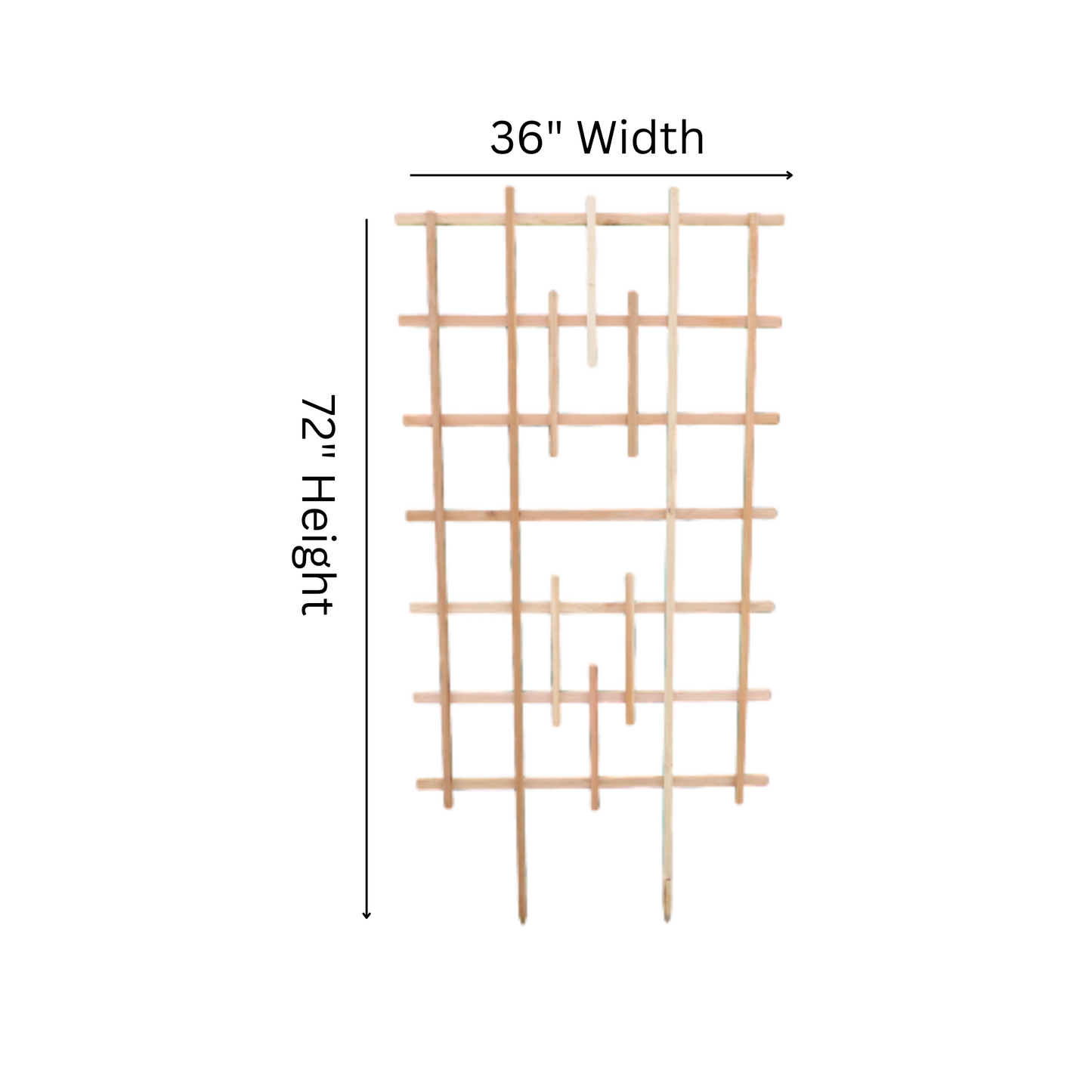 ST636 Large Trellis - 72" Height x 36" Width