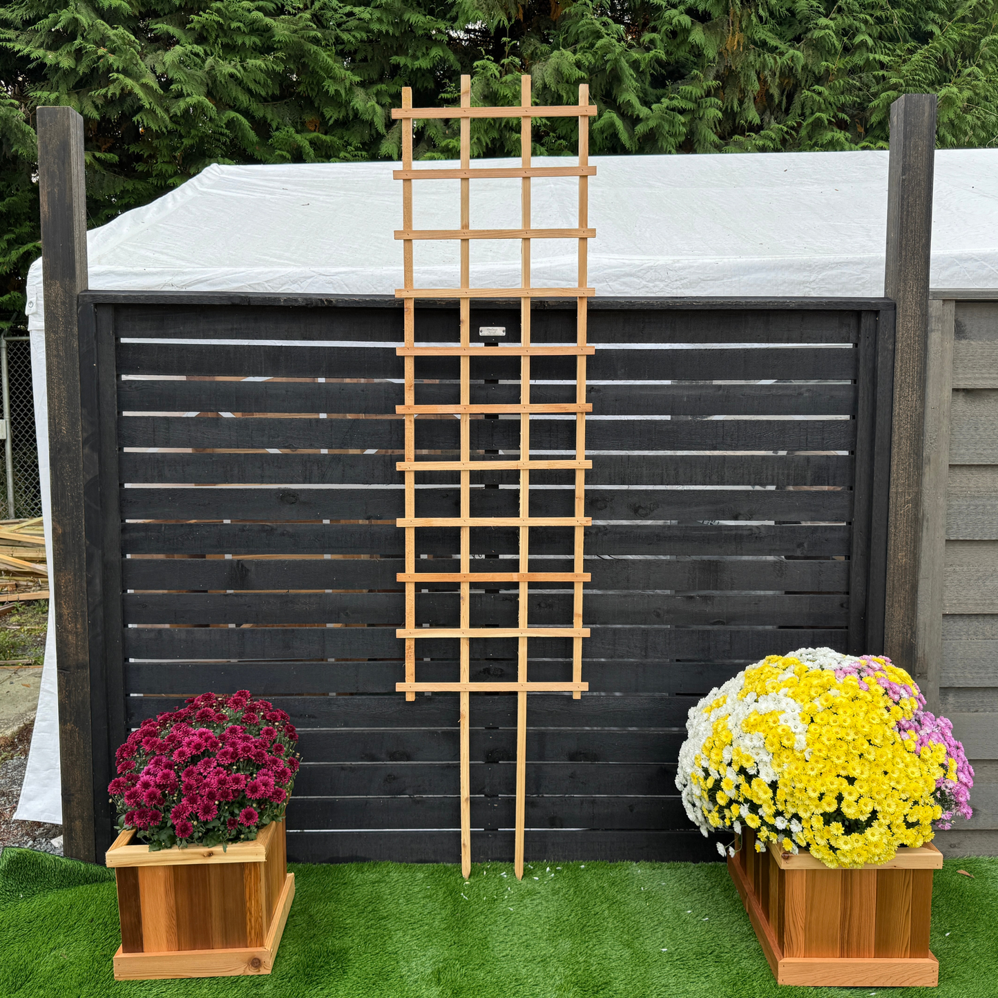 ST824 Large Trellis - 96" Height x 24" Width